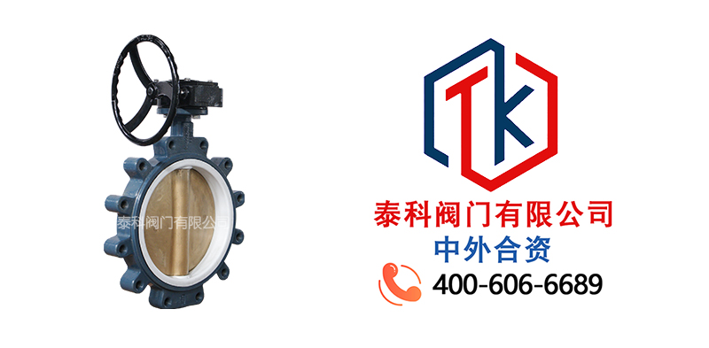 1762307528323999.jpg 蝸輪對(duì)夾支耳蝶閥拼圖尼必可.jpg